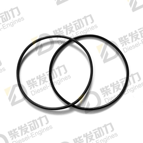O-ring 925257